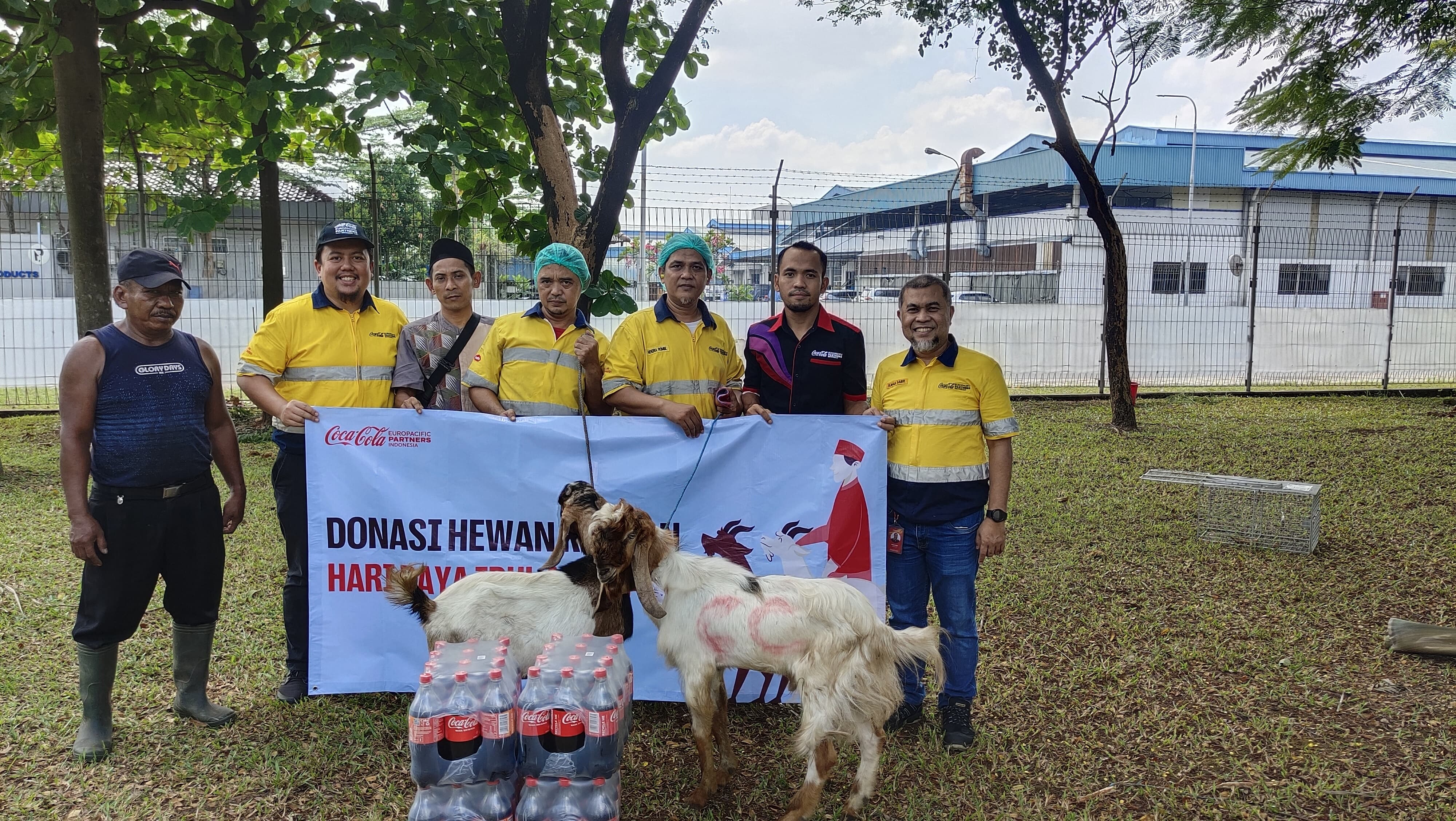 Donasi hewan kurban untuk masyarakat sekitar pabrik CCEP Indonesia